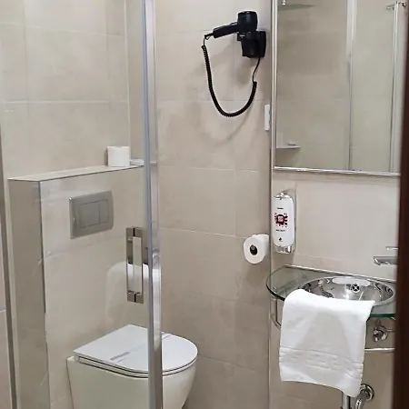Hotel Plzen 3* פלזן