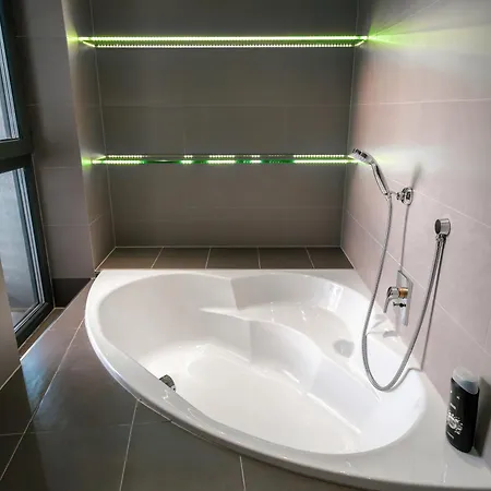 מלון Hotel Plzen פלזן