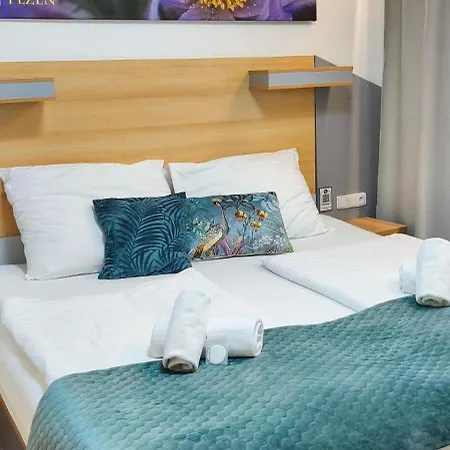 Hotel Hotel Plzen 3*