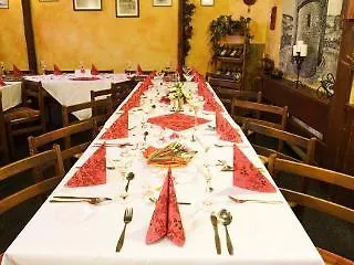 Hotel Hotel Plzen Plzen