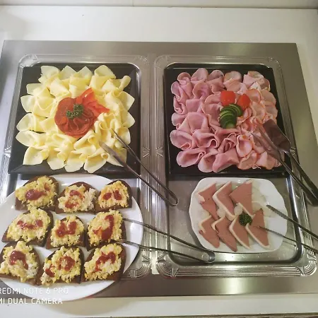 Hotel Plzen فندق 3*
