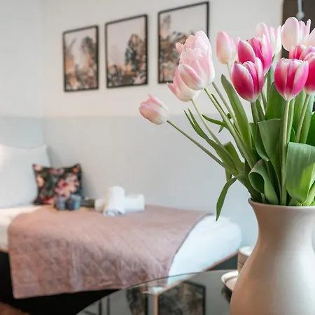 فندق Hotel Plzen بلزن