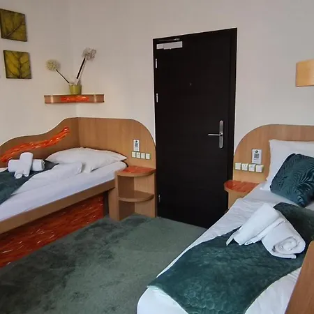Hotel Plzen فندق بلزن